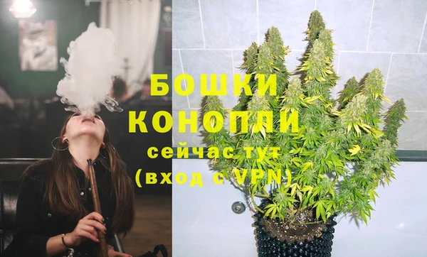 шишки Карпинск