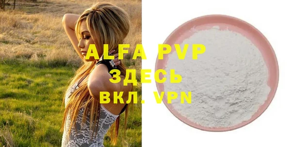 шишки Карпинск
